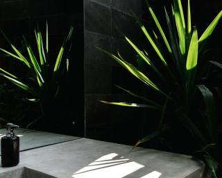 Villa Black - Canggu - 1