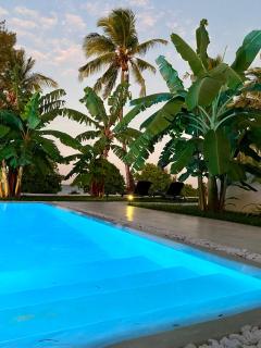 Luxury Lions Villas Zanzibar - with Private Cook&Infinity Pools - Kiwengwa - 5