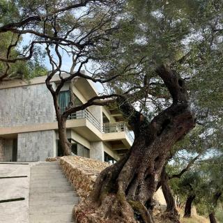 Amberton Green Villas Corfu - Città di Corfù - 2