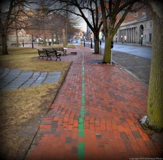 Downtown by RISD Gigabite Internet OnSite Free Parking - Providence - 6