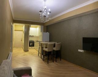 Двухкомнатная квартира студия - Tbilisi - 5