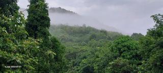 Randukai Farm House - Athirappilly - 2
