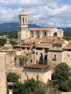 AS Palau dels Alemanys Suites Boutique Monument - Girona - 8