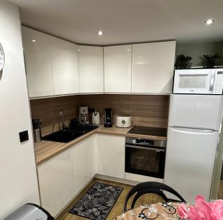 Le Briand Appartement 4étoiles Nancy Thermal Cosy avec Terrasse Wifi - Nancy - 3