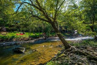 A River Runs Through It Right on the River - 9