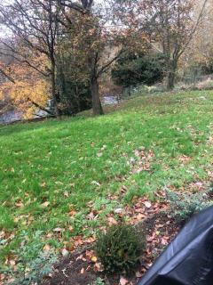 Donegal's Heart - Killygordon - 8