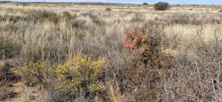Jagterswa Adam se Uitspanning - Orania - 7