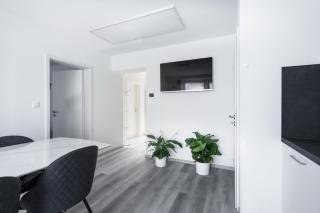 Apartment #5 - Maribor - 1