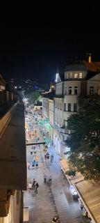 The Best Location salon apartment with main street view - Sarajevo - 5
