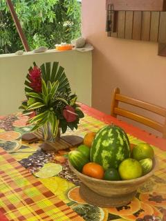 Cocon Tropical - 8