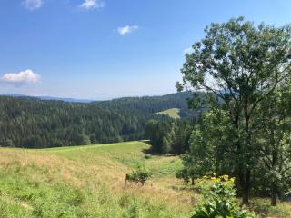 Die Schmiedn Selbstversorgerhütte - 3