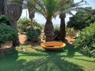 Villa delle palme - 4