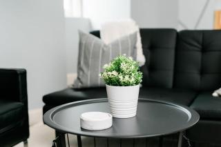 Modern Chic Suite - Amazing Location - GroupStay - 7