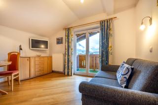 Haus Roswitha - Flachau - 9