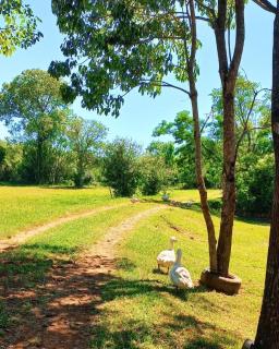 Centro Recreativo Los Lapachos Oberá - Guaraní - 7