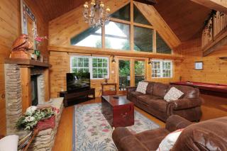 Cozy 1BR HOT TUB Free Attraction Tickets - Gatlinburg - 5