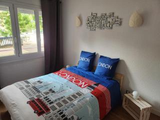 Le Denfert - Wifi Netflix - Quais de Savoureuse - Belfort - 6