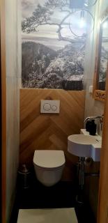 Luksusowy Apartament Czorsztyn 1 z sauną i ogrodem - 1