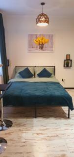 Apartamenty Królówka - Bydgoszcz - 7
