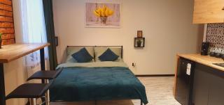 Apartamenty Królówka - Bydgoszcz - 1