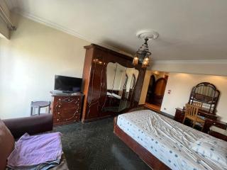 Nile view apartment near to Egyptian museum - Cairo - 6