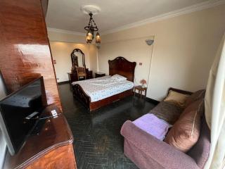 Nile view apartment near to Egyptian museum - Cairo - 3