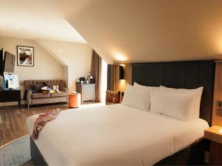 Springfield Hotel - Leixlip - 1