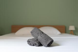 Les terrasses illuminées - T3 avec parking gratuit - 6