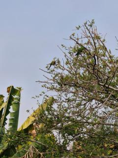 Pousada Montanha Sagrada - 4