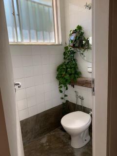 Preferido em Oliveira - 4