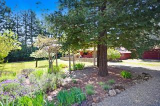 Craftsman Style Cabin In The Heart Of Sonoma- Includes Wine Tasting Passport - Sonoma - 1