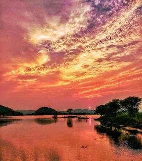 Shivraj farms - Bedla - 4