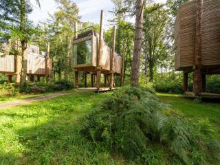 Treeloft with Perched Terrace by Belvilla - - 3