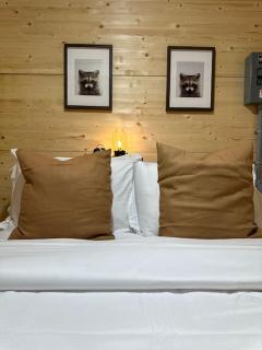 Sunken Escapes Cabin 9 - New Minas - 4