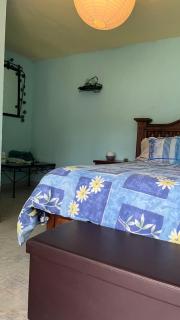 Villa Rooms - Villa del Carbón - 2
