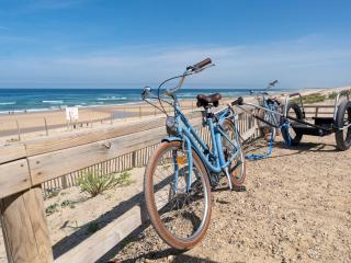 Maison à Biscarrosse - 4 pers, lac à pied, terrasse, parking - FR-1-319-580 - 2