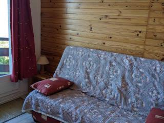 Studio cosy pour 3 pers avec balcon et équipements de confort aux Adrets-Prapoutel - FR-1-557-130 - Les Adrets - 7