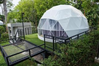 ธาราไลฟ์ - 0