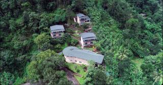 The Violet Thekkady - Thekkady - 9