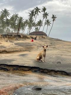 Pari's HOMEstay - Varkala - 1
