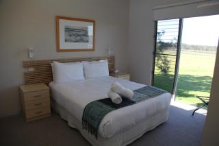 Adina Vineyard - Lovedale - 7