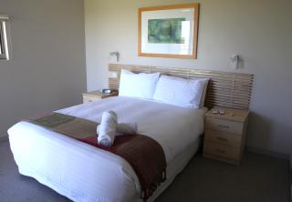 Adina Vineyard - Lovedale - 6