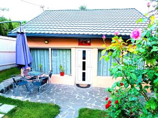 Casa Claudiu Busteni - Buşteni - 7