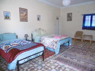 Palmeraie Guest House - Tinerhir - 3