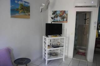 Studio confortable à La Trinité 30 m² avec vue mer et jardin - La Trinité - 7
