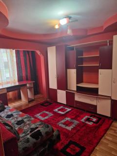 Apartament Mirela 1 - Turda - 8