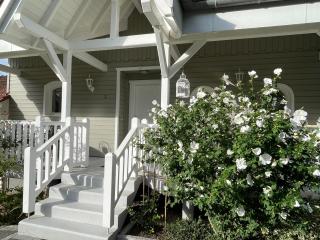 TULIPES Et CETERA - 5