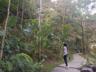 Magnificent Mountain & Lake Views' Suite Cycas - Kampong Batu Lapan - 2