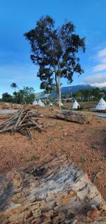Casa Camp - 2
