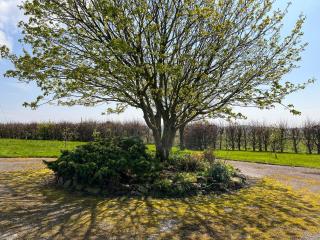Crumquhill Bungalow - Ringford - 8